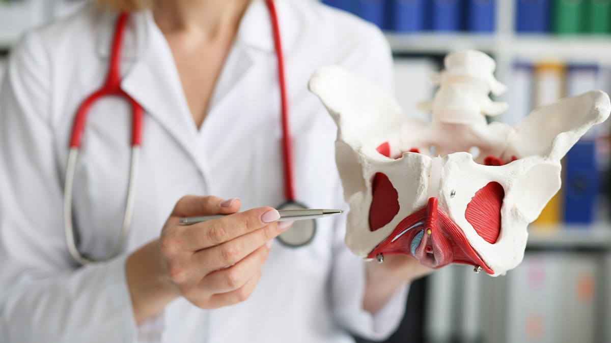 Bild Frau hält Modell von weiblichen Geschlechtsteilen